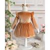 imageKucnuzki Toddler Baby Girl Clothes Velvet Dress Solid Little Flower Girl Dress Princess Casual Party Dress for Girl FallBrown