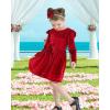 imageKucnuzki Toddler Baby Girl Clothes Velvet Dress Solid Little Flower Girl Dress Princess Casual Party Dress for Girl FallRed