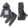 Dinosaur Grey