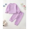 imageKucnuzki Baby Toddler Girl Clothes Long Sleeve Crewneck Sweatshirt Tops Sweatpant Sweatsuit Baby Girl Fall Winter OutfitPurple Rabbit